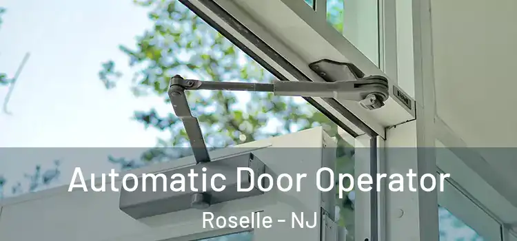Automatic Door Operator Roselle - NJ